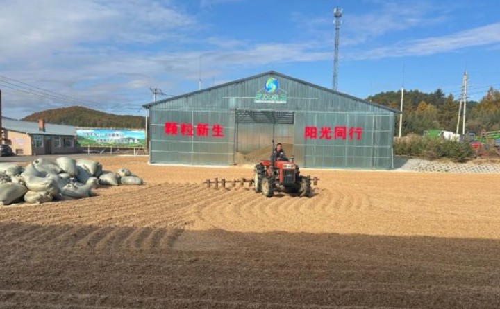 黑龍江鶴立林業局：生物質顆粒產業點燃綠色發展新引擎